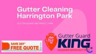 Gutter Cleaning Harrington Park