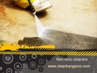 Non-toxic cleaners-www.cleankangaroo.com