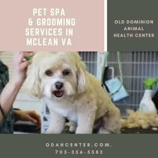 pet spa grooming services in mclean va