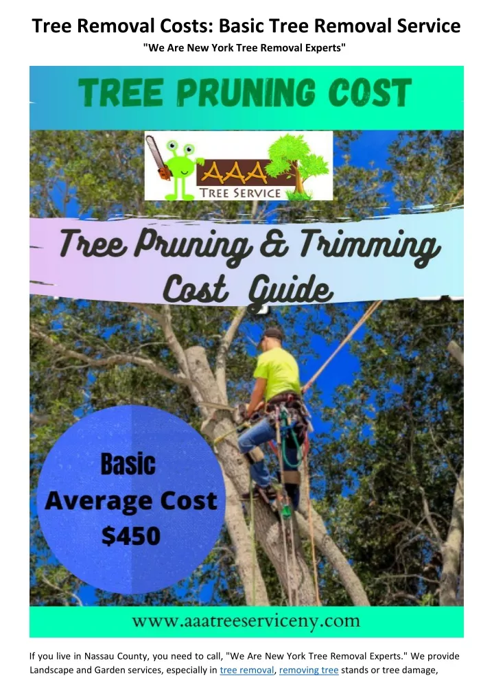 tree removal costs basic tree removal service