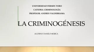 LA CRIMINOGENESIS