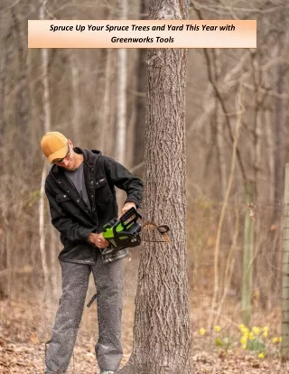 spruce up your spruce trees and yard this year