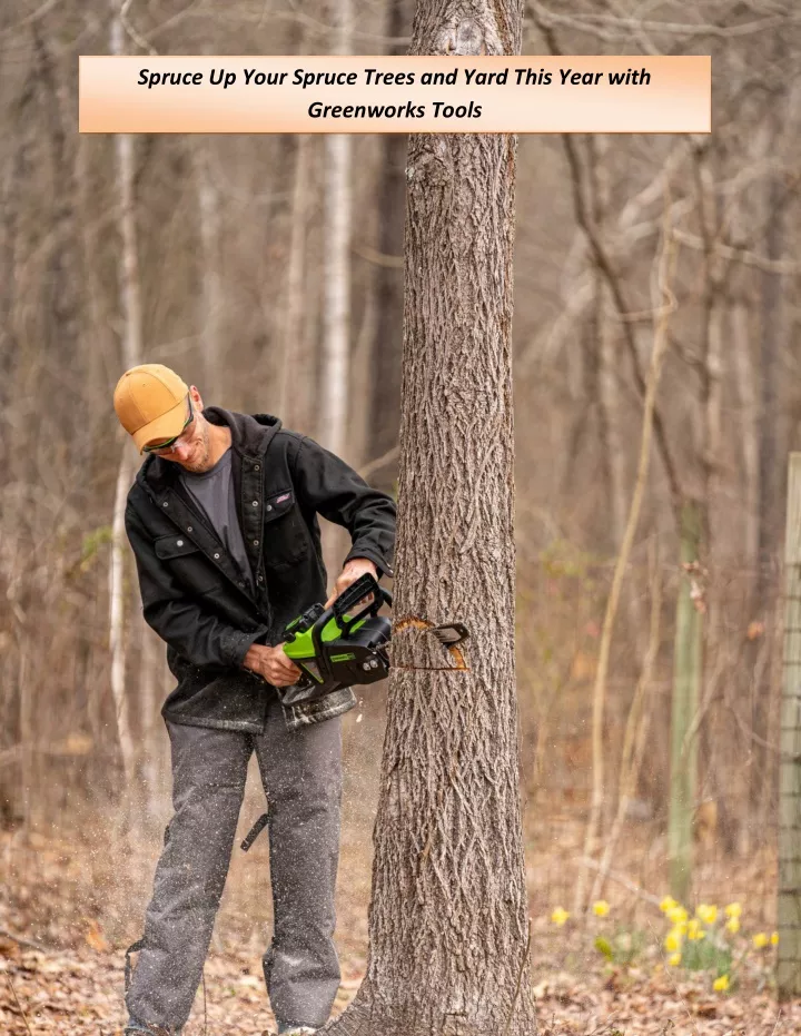 spruce up your spruce trees and yard this year