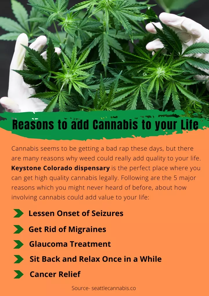 reasons to add cannabis to your life