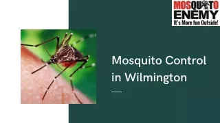 Mosquito Control in Wilmington