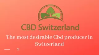 The most desirable Cbd producer in Switzerland