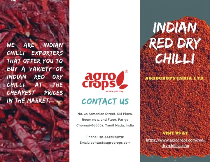 indian red dry chilli