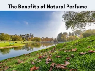 The Benefits of Natural Perfume – Melis Natural Perfume