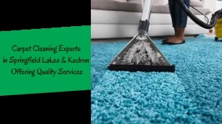 Carpet Cleaning Experts in Springfield Lakes & Kedron Offering Quality Services