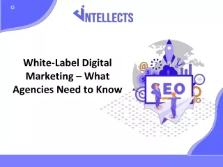 White-Label Digital Marketing – What Agencies Need to Know