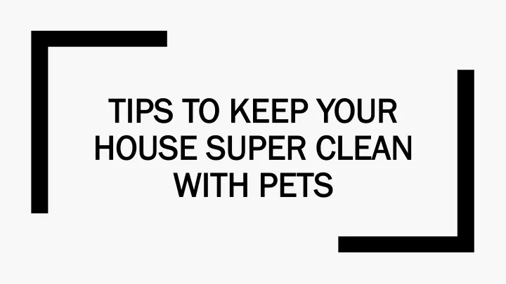 tips to keep your house super clean with pets