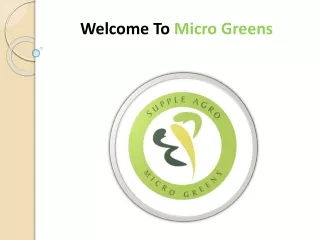 Buy Organic Vegetables and Fruits Online | Micro Greens