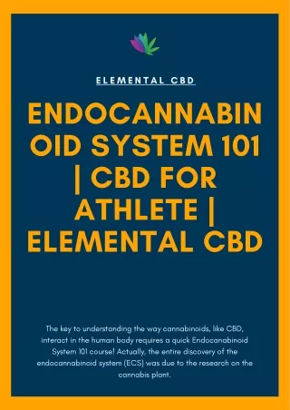 Endocannabinoid System 101 | CBD For Athlete | Elemental CBD