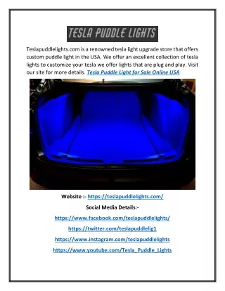 teslapuddlelights com is a renowned tesla light