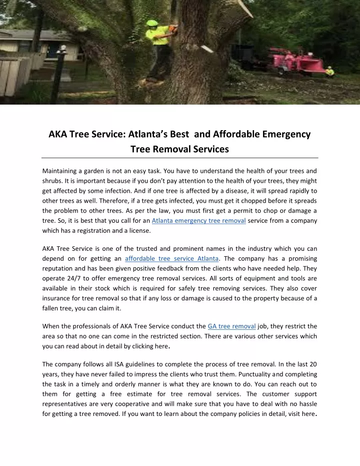 aka tree service atlanta s best and affordable