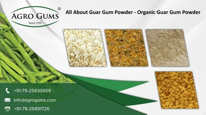 all about guar gum powder organic guar gum powder