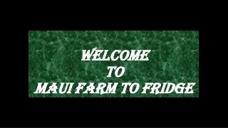 welcome welcome to to