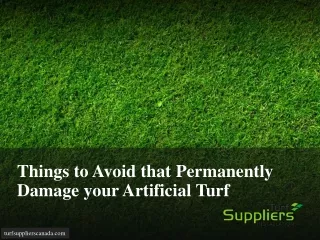 Golf Greens Turf Suppliers