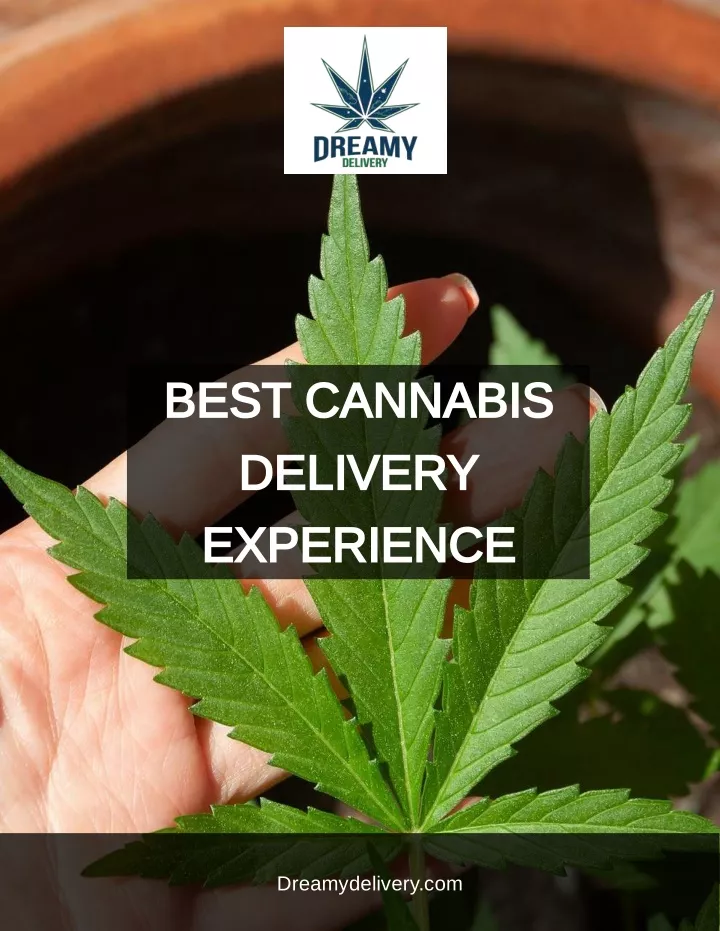 best cannabis delivery experience