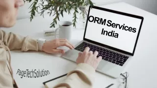 Hire Online Reputation Management Services in India