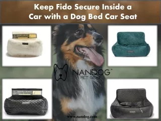 keep fido secure inside a car with