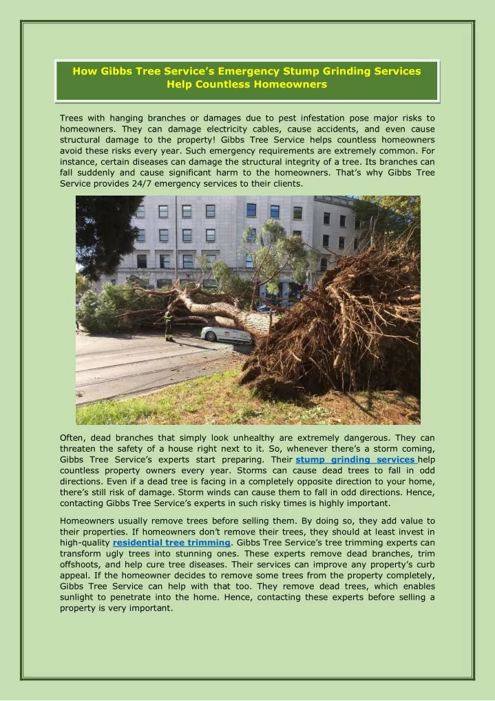 how gibbs tree service s emergency stump grinding