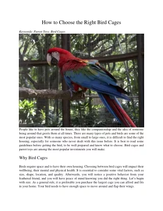 how to choose the right bird cages