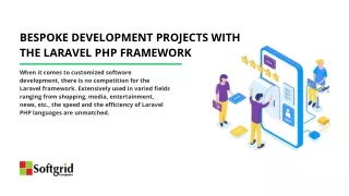 bespoke development projects with the laravel