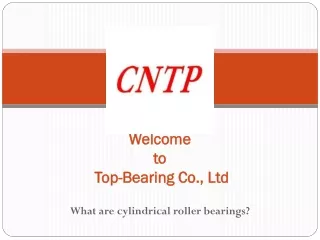 roller cage bearing, needle thrust bearing at www.top-bearing.com.cn