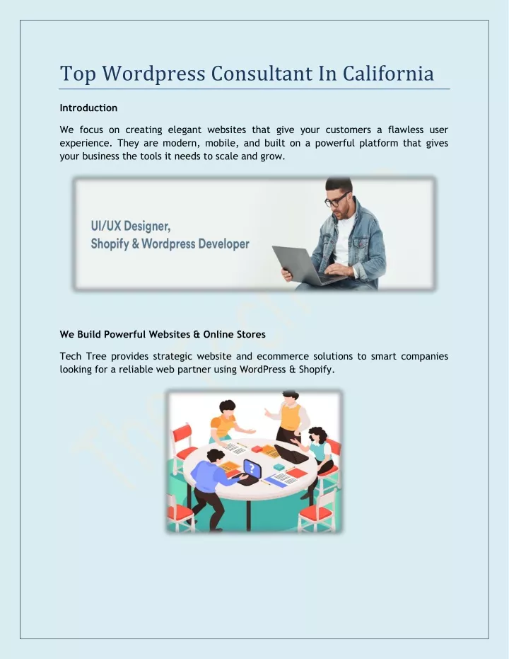 top wordpress consultant in california