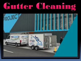 gutter cleaning