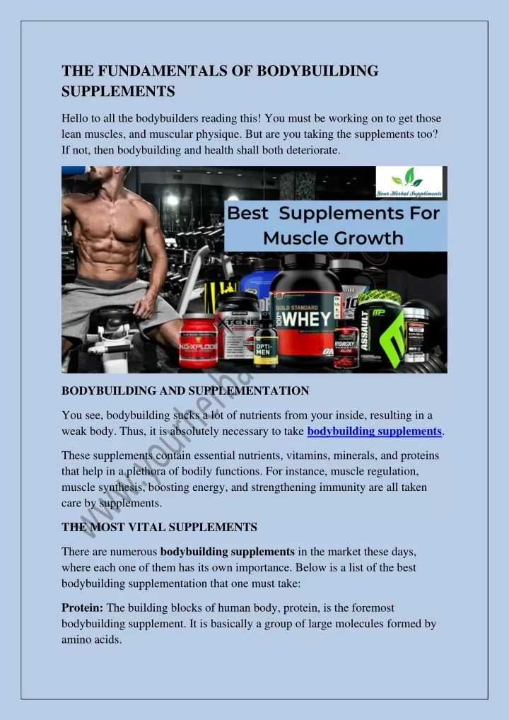 the fundamentals of bodybuilding supplements