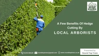 A Few Benefits Of Hedge Cutting By Local Arborists