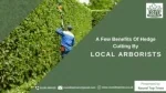 A Few Benefits Of Hedge Cutting By Local Arborists - slide 1