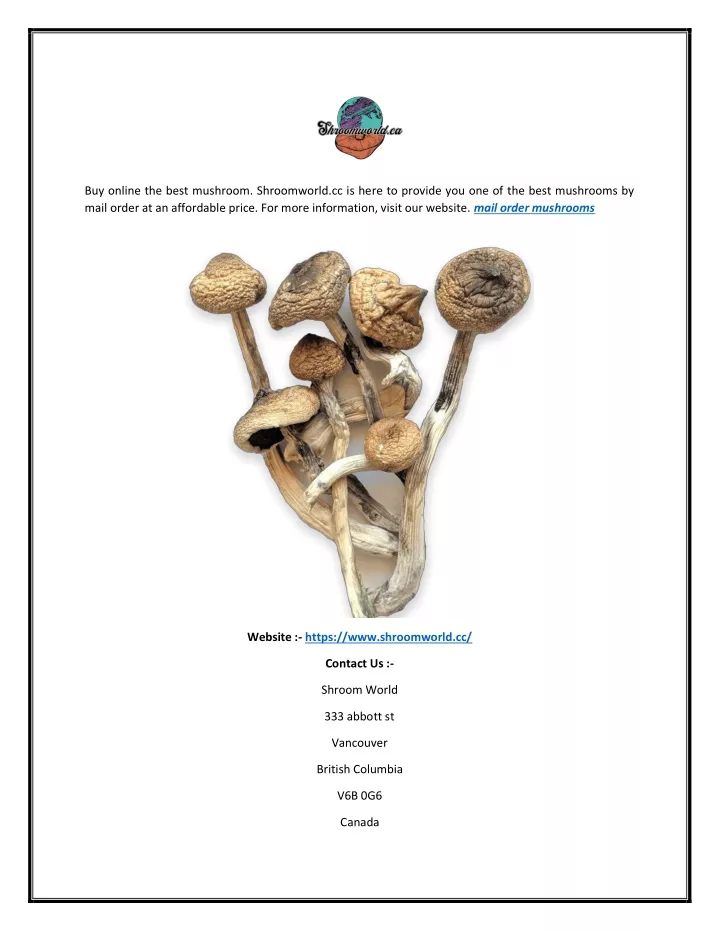 buy online the best mushroom shroomworld