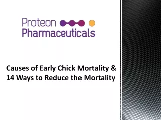 Causes of Early Chick Mortality & 14 Ways to Reduce the Mortality