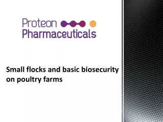 Small flocks and basic biosecurity on poultry farms