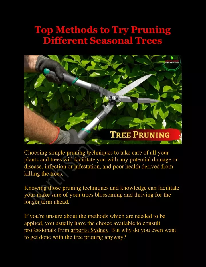 top methods to try pruning different seasonal trees