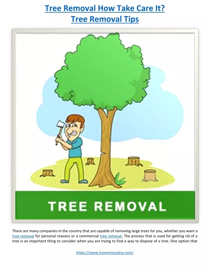 tree removal how take care it tree removal tips