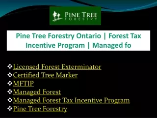 pine tree forestry ontario forest tax incentive