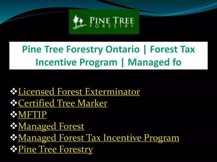 pine tree forestry ontario forest tax incentive