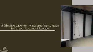 5 Effective basement waterproofing solution to fix your basement leakage. - Guardian Foundation Repair