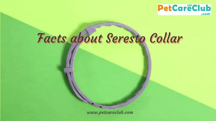 facts about seresto collar facts about seresto