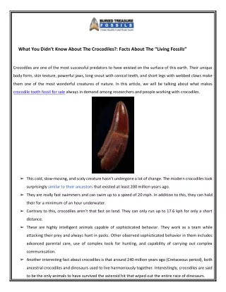what you didn t know about the crocodiles facts