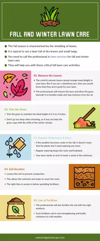 fall and winter lawn care