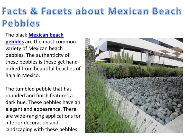 facts facets about mexican beach pebbles