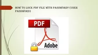 How to Lock PDF File with Password?