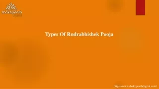types of rudrabhishek pooja