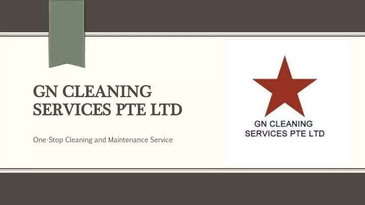gn cleaning services pte ltd
