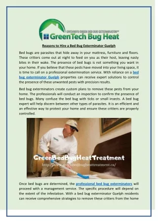 Reasons to Hire a Bed Bug Exterminator Guelph